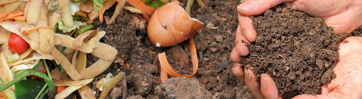 food-waste-composting-machine